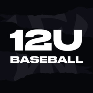 WOW Factor Sports Baseball Softball Chesapeake Virginia