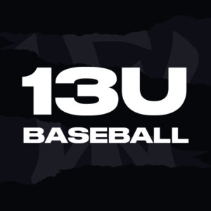 WOW Factor Sports Baseball Softball Chesapeake Virginia