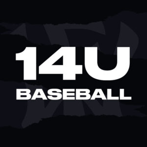 WOW Factor Sports Baseball Softball Chesapeake Virginia