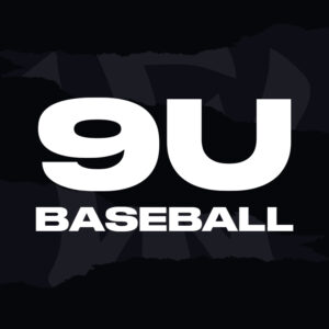 WOW Factor Sports Baseball Softball Chesapeake Virginia